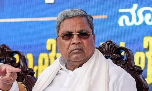 Treating stray dogs as nuisance is cruelty, not governance: CM Siddaramaiah