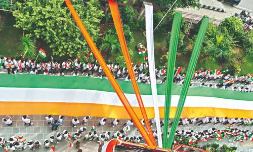 Row in Maha as allies BJP, NCP divided over meat sale ban on Aug 15