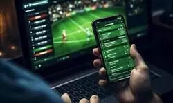 ED freezes Rs 110 cr worth bank funds; seizes 1,200 credit cards in illegal betting app case