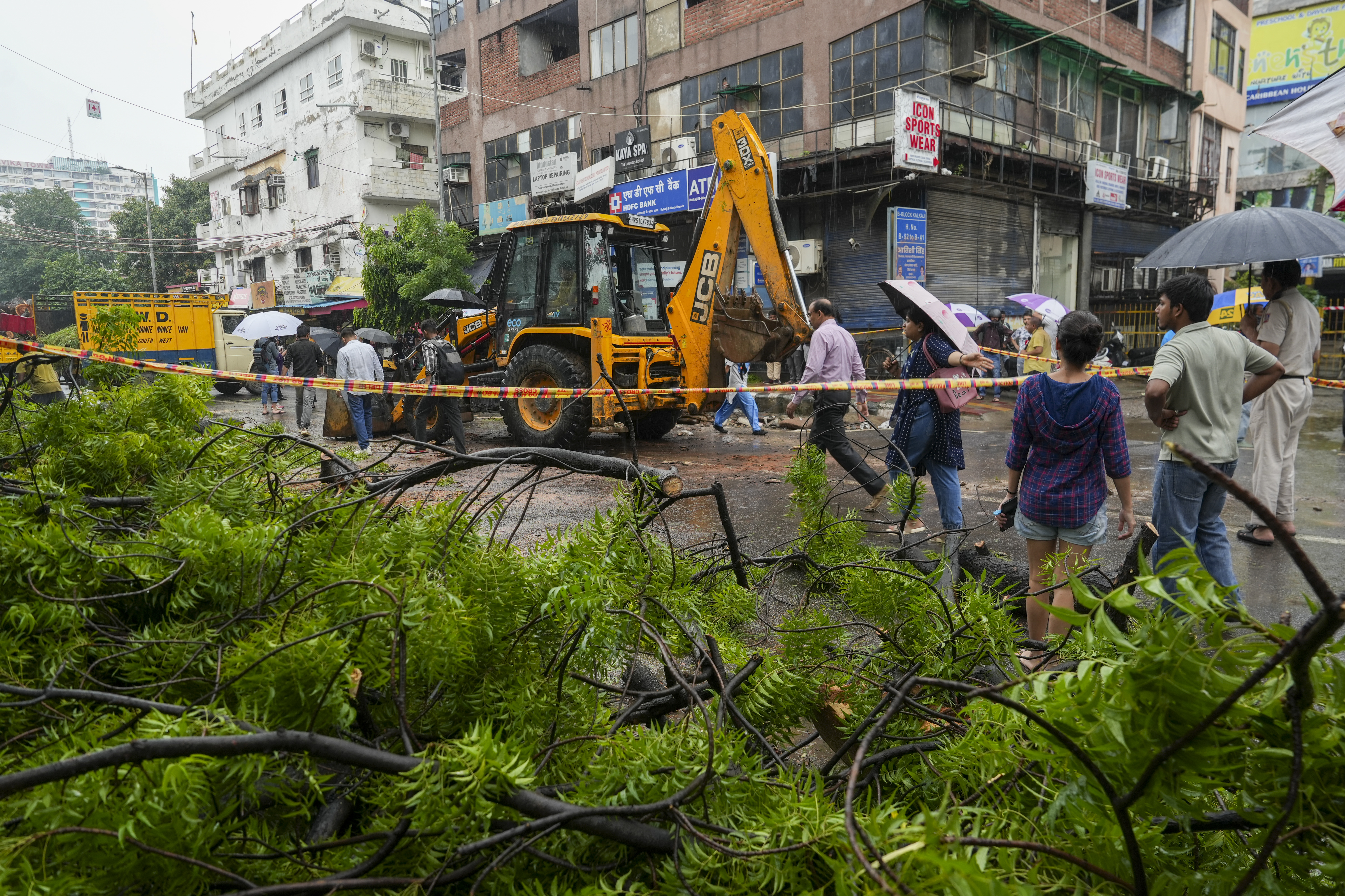 Man dies as huge tree falls on vehicles in Delhis Kalkaji amid rain, daughter injured