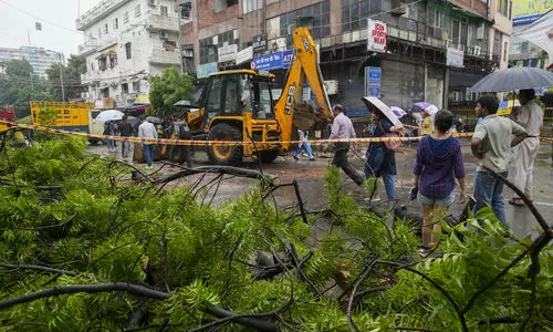 Man dies as huge tree falls on vehicles in Delhis Kaklaji amid rain, daughter injured