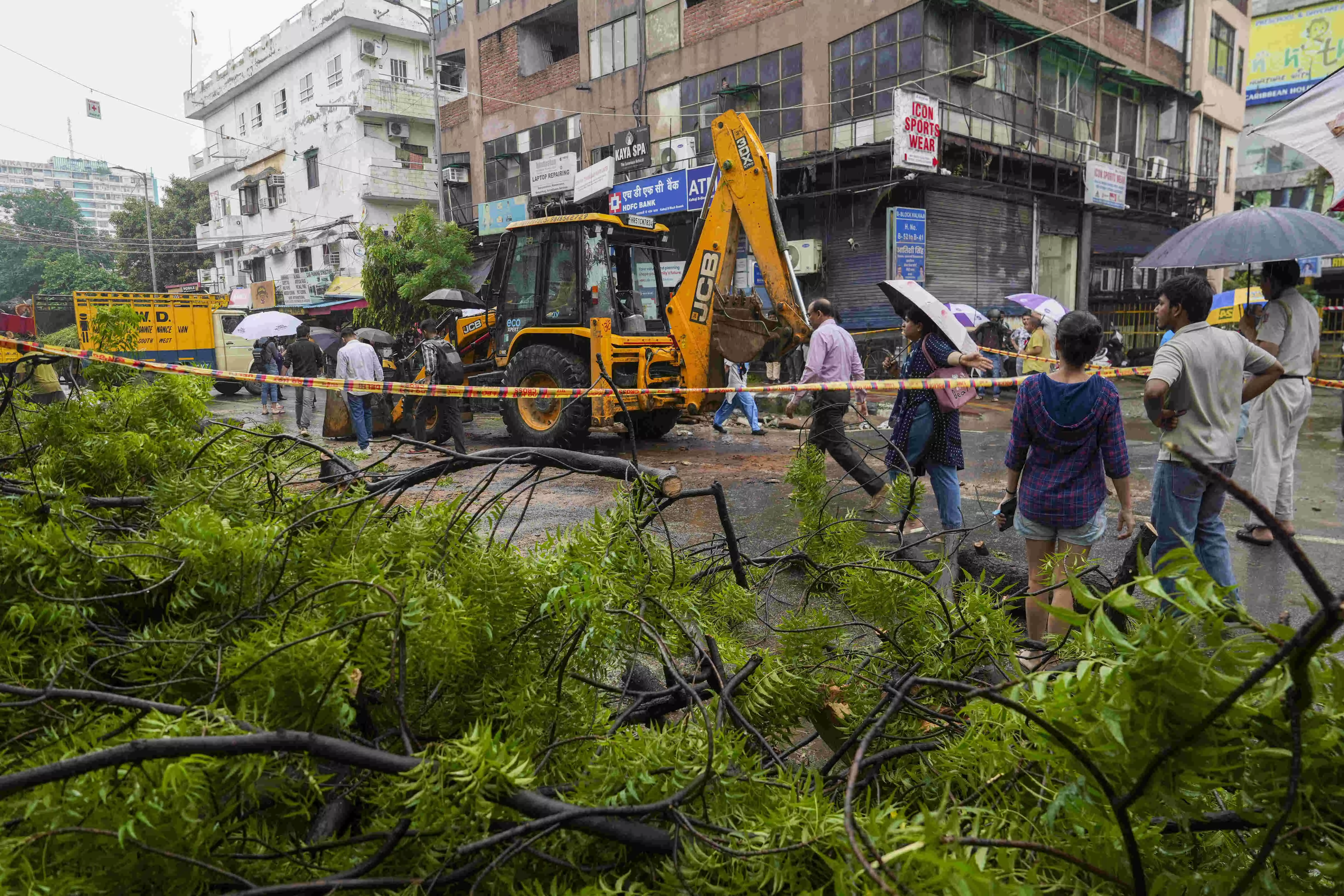 Man dies as huge tree falls on vehicles in Delhis Kaklaji amid rain, daughter injured