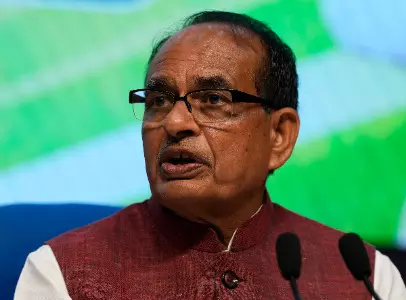 States should form monitoring committees to curb misuse, black marketing of urea: Chouhan