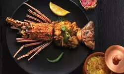 Qissa, Le Meridien, Gurgaon: A confident new voice in Gurgaon’s dining scene Qissa, Le Meridien, Gurgaon: A confident new voice in Gurgaon’s dining scene