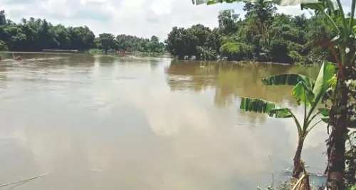 Punarbhaba River embankment collapse leads to flood havoc Punarbhaba River embankment collapse leads to flood havoc