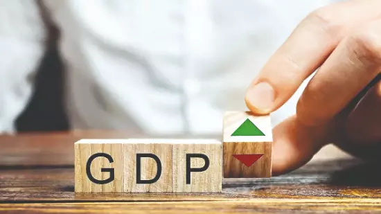 Parl panel maps out India’s growth