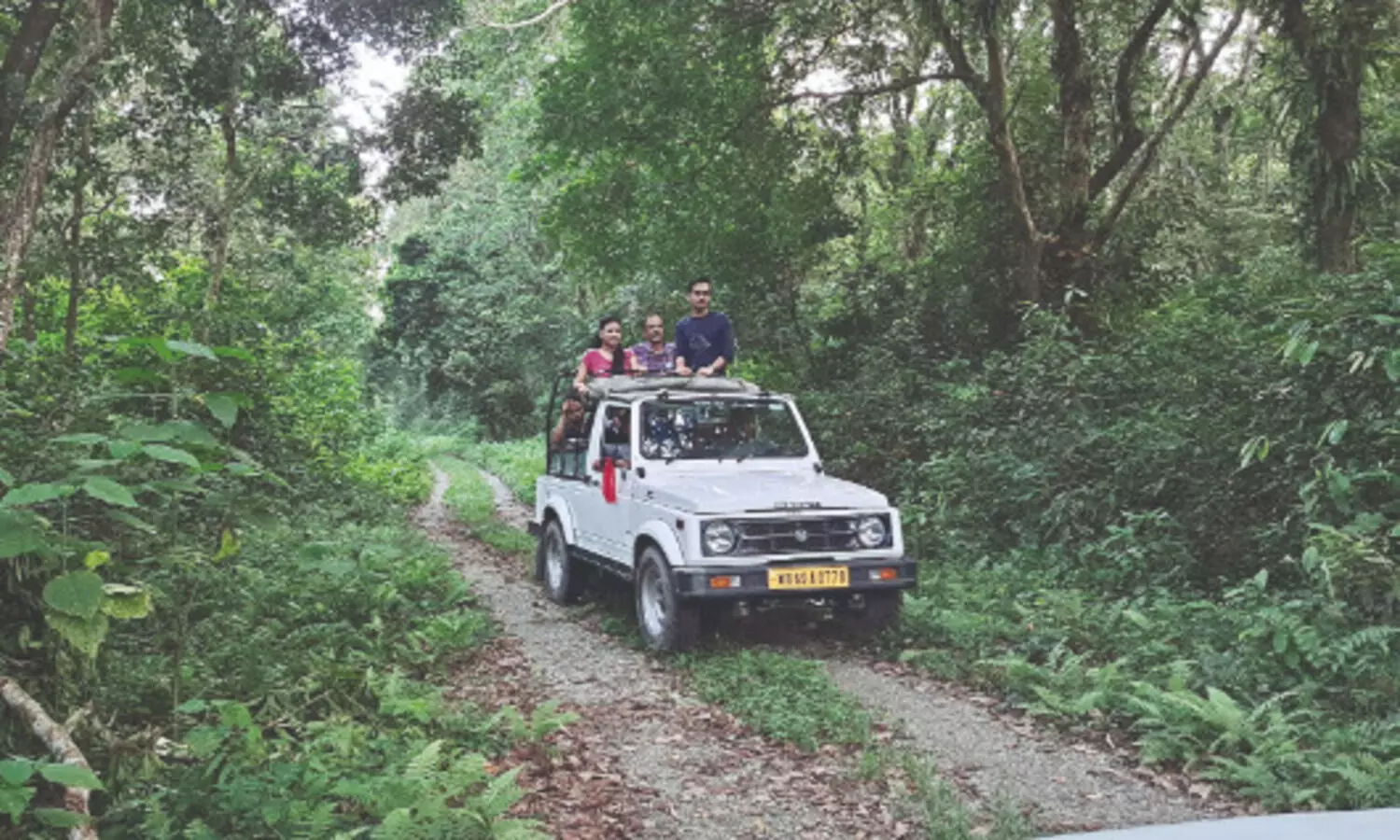 Jaldapara goes plastic-free as safaris resume on September 16