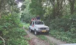 Jaldapara goes plastic-free as safaris resume on September 16 Jaldapara goes plastic-free as safaris resume on September 16