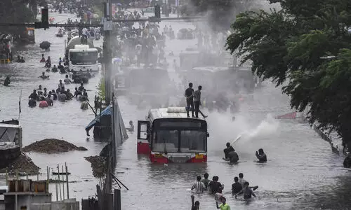 21 dead in rain-related incidents in Maharashtra, over 14 lakh acres of farmland damaged