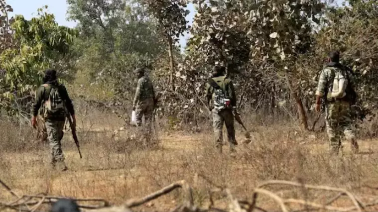Eight Naxalites carrying collective bounty of Rs 30 lakh surrender in Chhattisgarh
