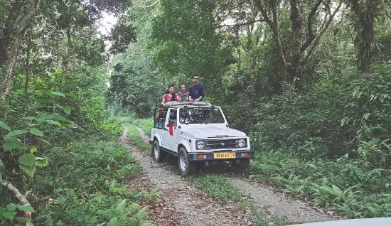 Jaldapara goes plastic-free as safaris resume on September 16