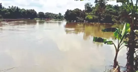Repair work starts on breached embankment in Gangarampur Repair work starts on breached embankment in Gangarampur