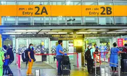 Security agency dog bites boy at airport, family cancels trip