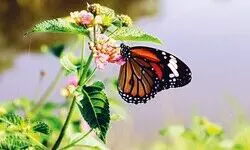 A Vital Interlinkage