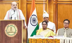 Amit Shah: Don’t stall Parliament,  Assemblies for political interests