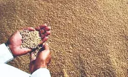 ‘No poor family to be left behind’: State steps in over Khadya Sathi access issues