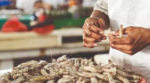 Diamonds, apparel, footwear and shrimps face steep US tariff blow