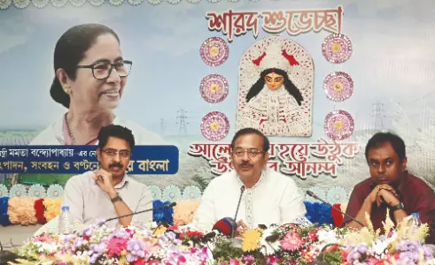 Power demand during Puja up 542% since 2011: Minister Power demand during Puja up 542% since 2011: Minister