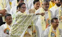 Will expose Amit Shah’s dynasty politics, ECI’s corruption, if pushed: Mamata Will expose Amit Shah’s dynasty politics, ECI’s corruption, if pushed: Mamata