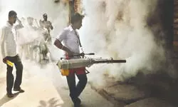 Women Health workers harassed while conducting dengue survey