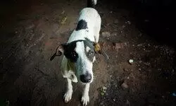 Fruitful Course of Empathy