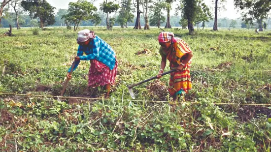 Jaldapara National Park creates ‘1.05L man-days in just 8 months’ Jaldapara National Park creates ‘1.05L man-days in just 8 months’