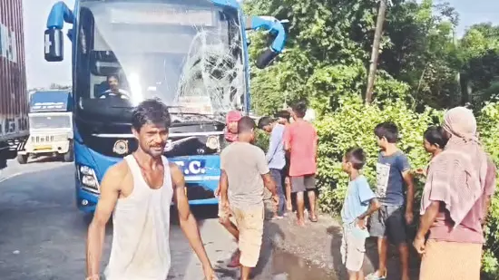 Dhupguri: 6 injured in collision between 2 buses Dhupguri: 6 injured in collision between 2 buses