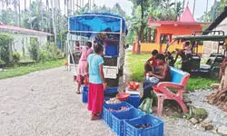 Women-led co-ops bring fresh veggies to remote tea gardens of Alipurduar Women-led co-ops bring fresh veggies to remote tea gardens of Alipurduar