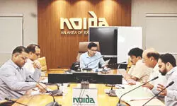 Noida: Survey to track sterilisation, behaviour & health of stray dogs