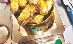 NCB seizes 5.6 kg cocaine worth Rs 60 crore at Chennai Airport