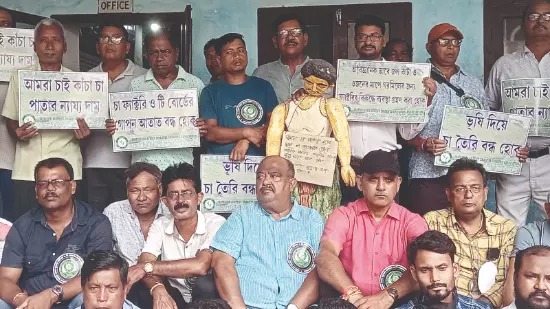 Small tea growers protest, demand fair price for raw leaves Small tea growers protest, demand fair price for raw leaves