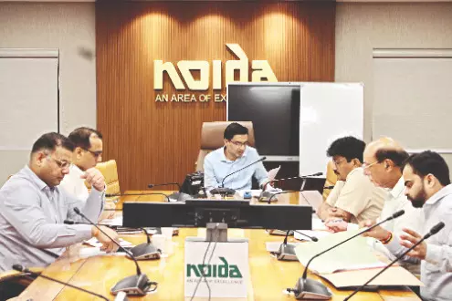 Noida: Survey to track sterilisation, behaviour & health of stray dogs Noida: Survey to track sterilisation, behaviour & health of stray dogs