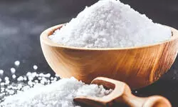 Freedom or Folly? Freedom or Folly?