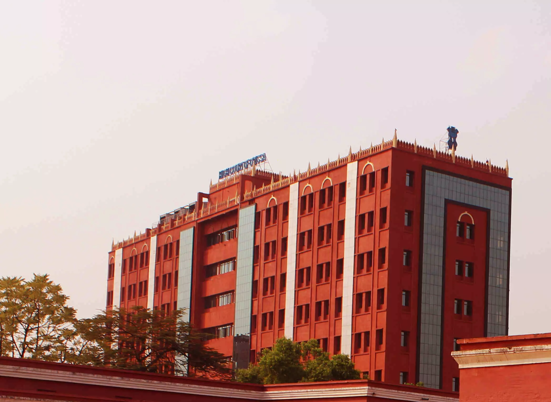 DNA test of child in face of mothers admission an insult to her motherhood: Orissa HC