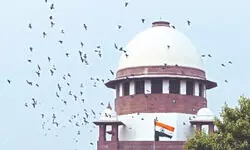 Gulfisha Fatima moves Apex Court against HC’s order denying her bail