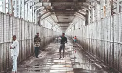 Yamuna below evacuation trigger, yet Capital remains vulnerable