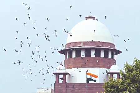 Gulfisha Fatima moves Apex Court against HC’s order denying her bail Gulfisha Fatima moves Apex Court against HC’s order denying her bail