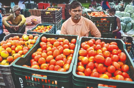 From farm to mandi: Floods disrupt fresh produce trade From farm to mandi: Floods disrupt fresh produce trade