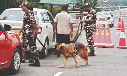 Nepal unrest: Security clampdown at India-Nepal border; SSB & police on ‘high alert’