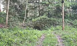 Nalaraja’s Fort renamed as Naranarayan Garh in Alipurduar