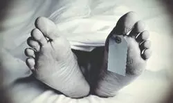 Migrant worker’s child dies from snake bite