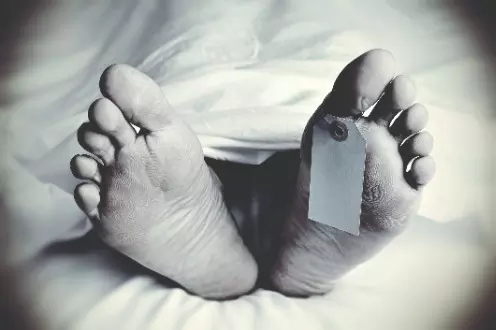 Migrant worker’s child dies from snake bite