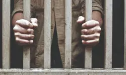 Man gets lifer for murdering aunt