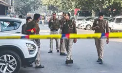 3 camels used to transport illicit liquor through forests; 5 nabbed