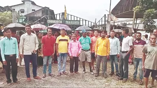 Closure of 3 Dooars tea gardens leaves over 2K workers in crisis