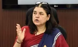 Pigeons have caused no harm, firecrackers contribute more to pollution: Maneka Gandhi