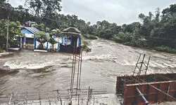 Falakata–Alipurduar traffic comes to halt as river diversions collapse Falakata–Alipurduar traffic comes to halt as river diversions collapse