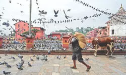 Normalcy returns on India-Nepal border