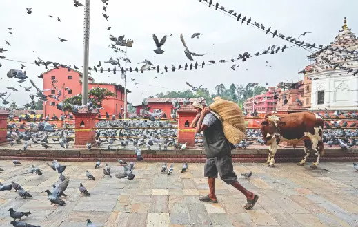 Normalcy returns on India-Nepal border