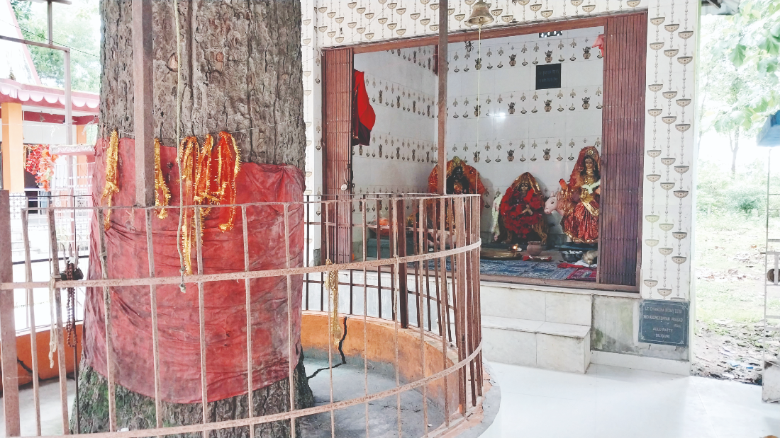 Shaleshwari Bon Durga: Forgotten shrine in heart of Baikunthapur Forest
